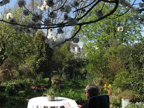Grove Guest House Londra Dış mekan fotoğraf